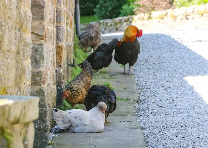 Vakantiehuis The Barn *